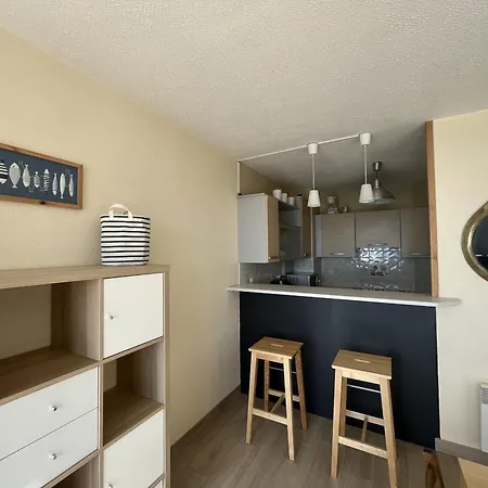 Duplex T3 Face Avec Terrasse, Ascenseur, 5p, Grande Plage, Parking Securise, Animaux Ok - Fr-1-799-21 * Le Barcarès