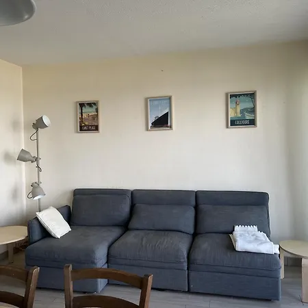 Duplex T3 Face Avec Terrasse, Ascenseur, 5p, Grande Plage, Parking Securise, Animaux Ok - Fr-1-799-21 Διαμέρισμα *